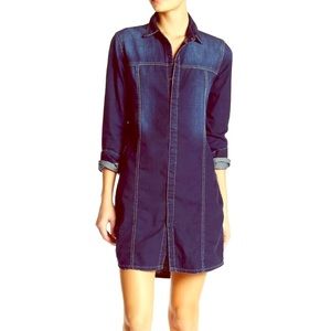 Adorable Hudson Denim shirtdress!